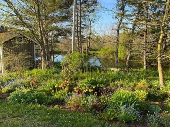 Spring garden.jpg