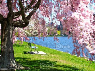 istockphoto-508959528-1024x1024.jpg