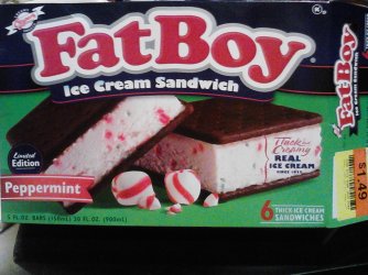 fatboy_20140102_220315.jpg