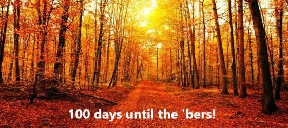 100 days until the bers!.jpg