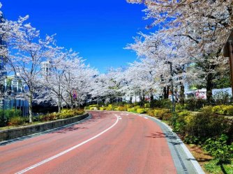 Beautiful street.jpg