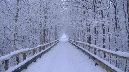 winter-bridge.jpg