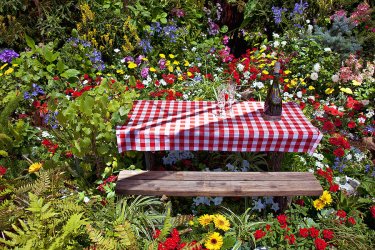 picnic-table-among-the-flowers.jpg