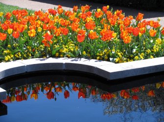 reflections.jpg
