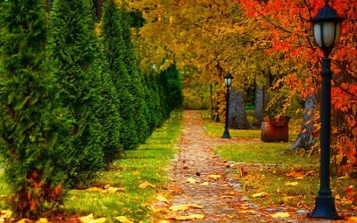 park-autumn-road-trees-lantern-leaves-wallpaper-thumb.jpg