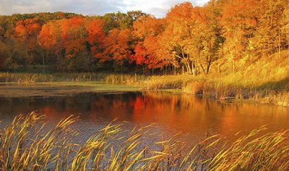 Fall colors WEB.jpg