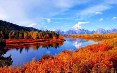 autumn-scene-24.jpg