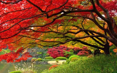 autumn-wallpaper-japan-hd.jpg