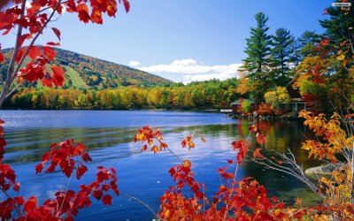 Free-Autumn-Desktop-Wallpaper-Autumn-Wallpaper-wallpaper-.jpg
