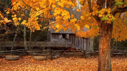 788249-best-autumn-screen-wallpaper-1920x1080-for-4k.jpg