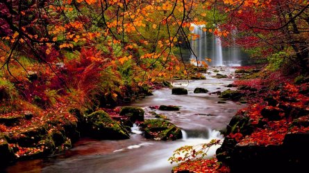 34-346521_70121535-autumn-wallpapers-autumn-wallpaper-examples-fall-backgrounds.jpg