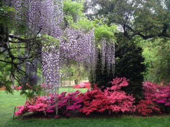 Brooklyn-Botanic-Garden.jpg