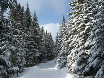 wp5024613.jpg