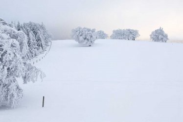 germany-black-forest-schauinsland-winter-scenery-SHF00201.jpg