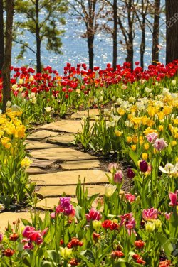 59043936-stone-path-winding-in-spring-flower-garden-with-blossoming-tulip-and-hyacinth-flowers.jpg