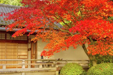 autumn-in-portland-japanese-garden-kunal-mehra.jpg