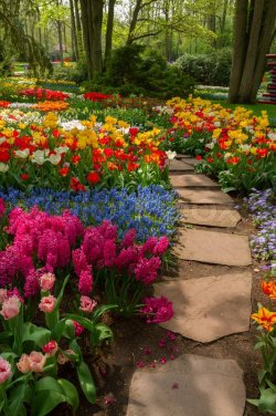 800px_COLOURBOX13118126.jpg