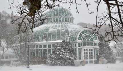 brooklyn-botanic-garden.jpg
