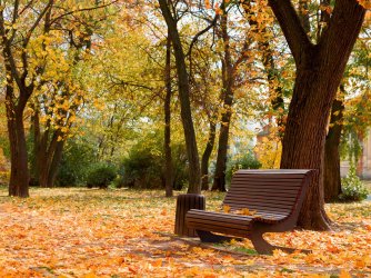 Ukraine-Cherkassy-park-autumn-bench-trees-leaves_2560x1920.jpg