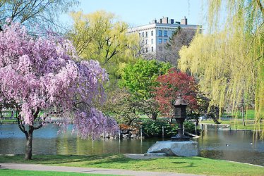 Public-Gardens.jpg