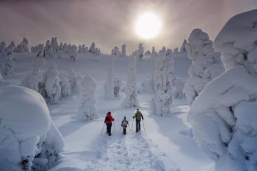 5c9d3021-lapland-winter-sun-snowy-forest-ruka-kuusamo-harri-tarvainen-visit-finland-1440x960.jpg
