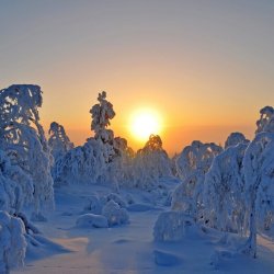 Lapland-Winter-Wonderland-1024x1024.jpg