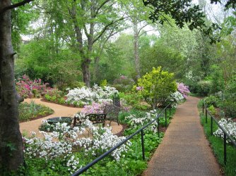 Mynelle_Gardens.jpg