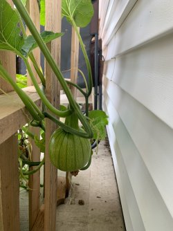 image2 (19).jpeg