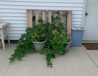 image1 (31).jpeg