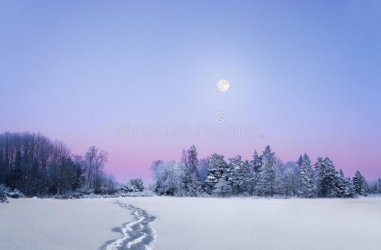 d92802ba504bb405cf7bab9ad9b9c1f5.jpg