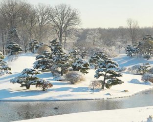 banner_japanese_island_winter.jpg