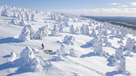 7d98f47b-visit-lapland-winter-markus-kiili.jpg