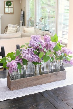 how-to-stop-cut-lilacs-from-wilting-Clean-and-Scentsible-1.jpg