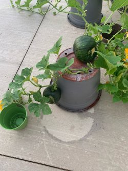 image4 (4).jpeg