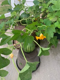 image2 (20).jpeg