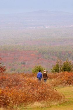 RonRisman_fall2004_1.jpg