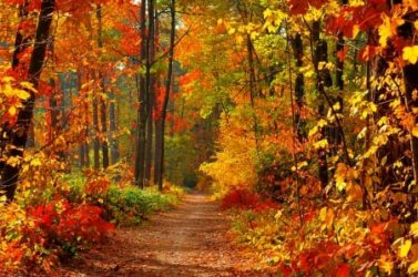 1585370-bigthumbnail.jpg