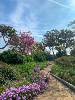 arboretum-01.jpg