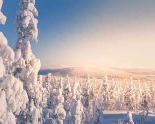 the-arctic-route-bus-levi-lapland-finland-winter-scenery-snowy-forest.jpg