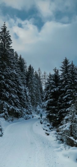 winter-2-scaled.jpg
