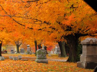 fall_x2.jpg