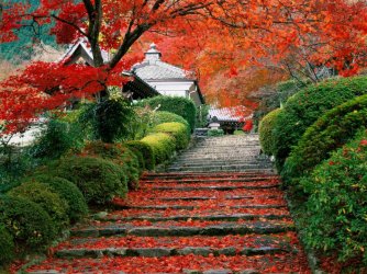 japan1gardendesigneyecom.jpg