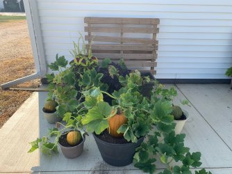 image2 (22).jpeg