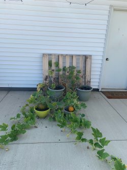 image1 (34).jpeg