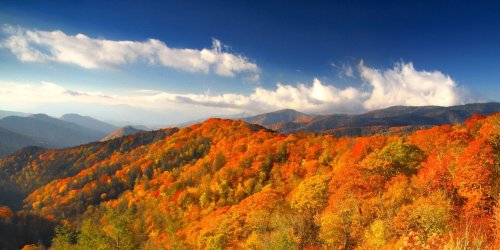 fall-tn-color.jpg