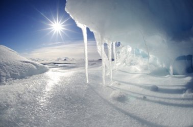 41586_2013_Article_BFnature201211709_Figa_HTML.jpg