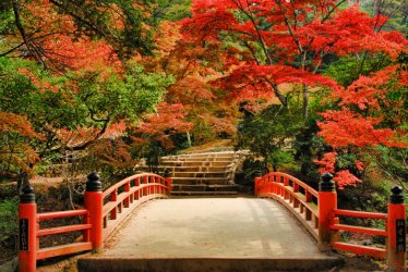 Hiroshima-Miyajima-Island-robert.lamb@me.com-1.jpg