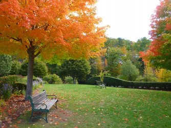 peterborough-new-hampshire-foliage.jpg