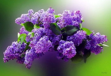 1630858129046.png