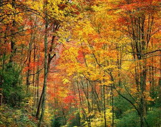Appalachia-web-1800.jpg